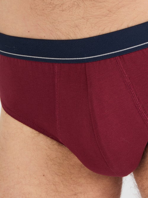 Lot de 3 slips fermés coton biologique majoritaire - Damart - Kiabi