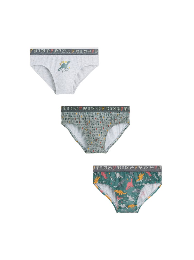 INEXTENSO Lot de 4 slips garçon pas cher