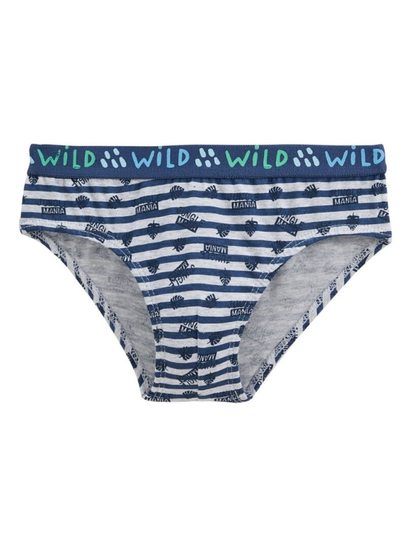 Slip Garcon Ans Petit Bateau Slips (Lot De 3) Garu00e7on Body