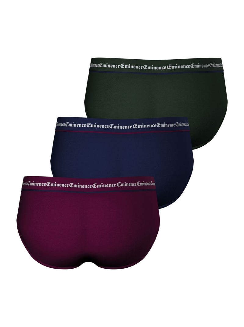 Lot de 3 slips homme Business Eminence Multicolore - Kiabi
