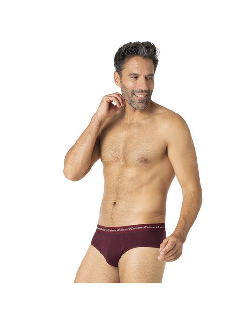 Lot de 3 slips homme Business Eminence - Kiabi