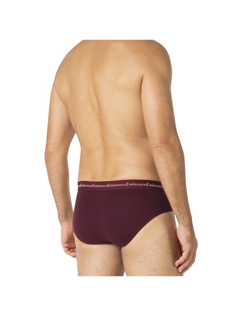 Lot de 3 slips homme Business Eminence Multicolore - Kiabi