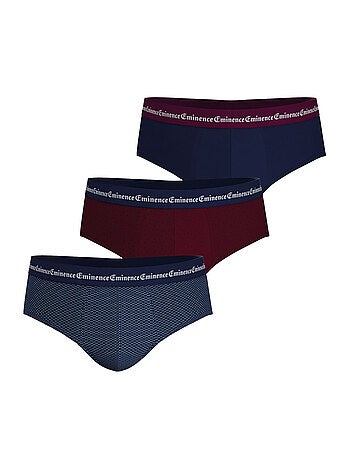 Lot de 3 slips homme Business Print Eminence