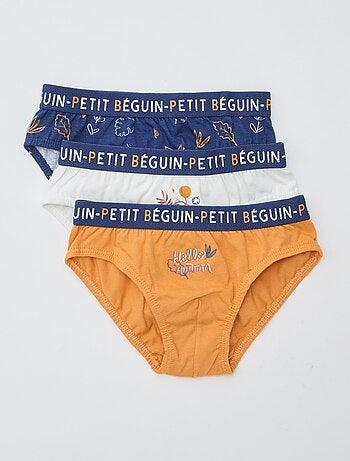Lot de 3 slips 'Petit Béguin'