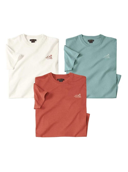 Lot de 3 Tee-Shirts Unis Désert   - ATLAS FOR MEN - Kiabi