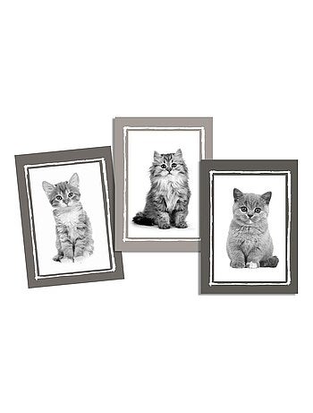 Lot de 3 Torchons Chatons