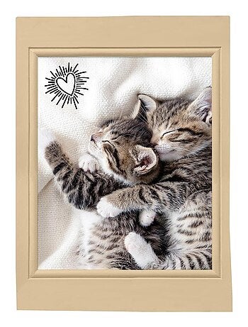 Lot de 3 Torchons Chats choupinou