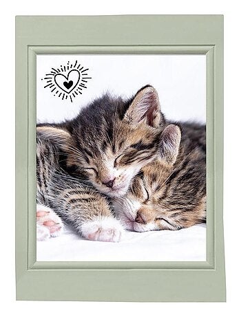 Lot de 3 Torchons Chats choupinou