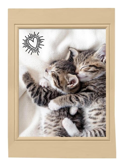 Lot de 3 Torchons Chats choupinou - Kiabi