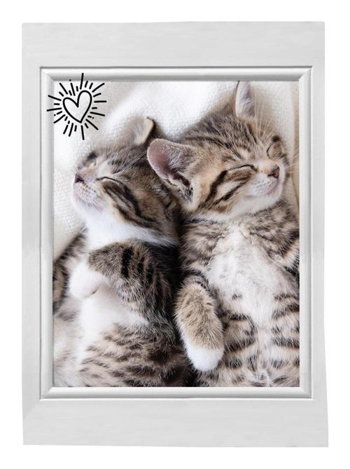 Lot de 3 Torchons Chats choupinou - Kiabi