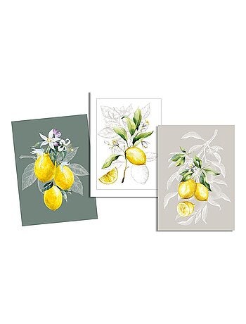Lot de 3 Torchons Citron