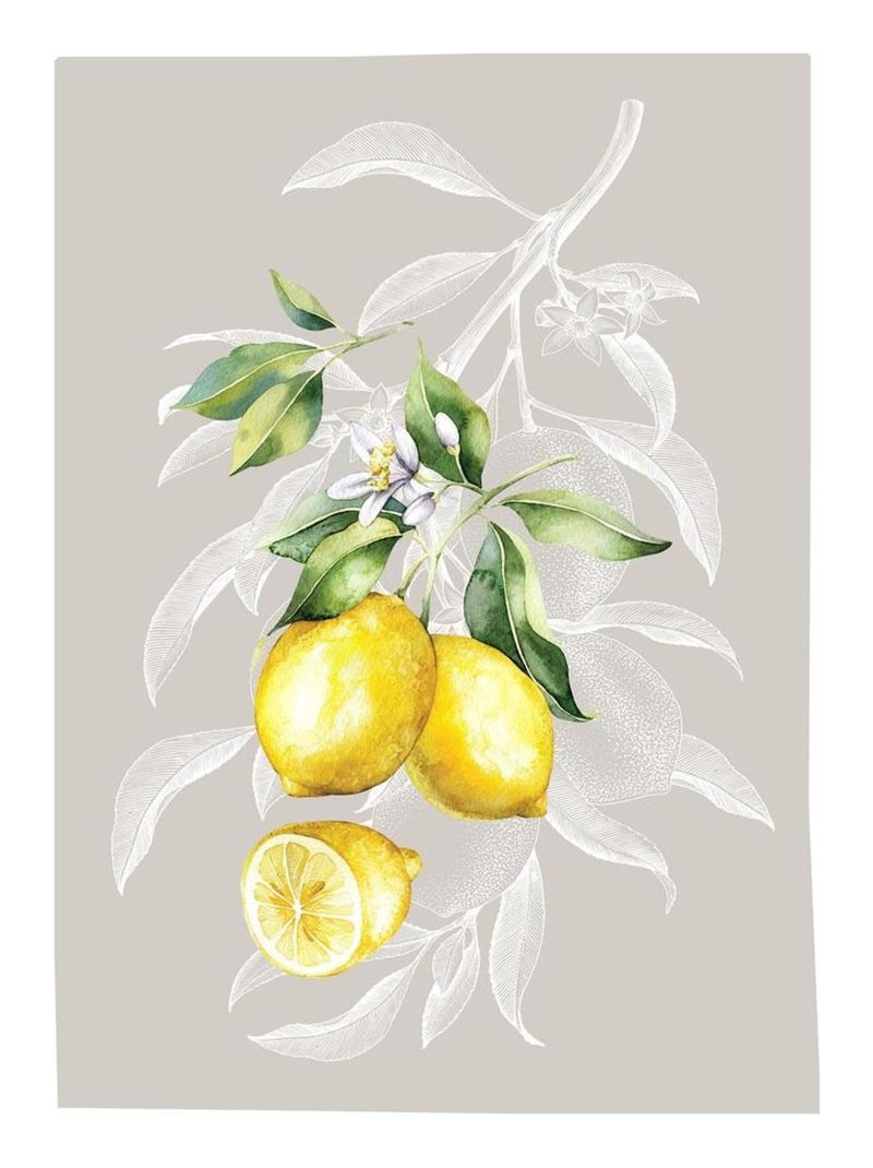 Lot de 3 Torchons Citron Beige - Kiabi