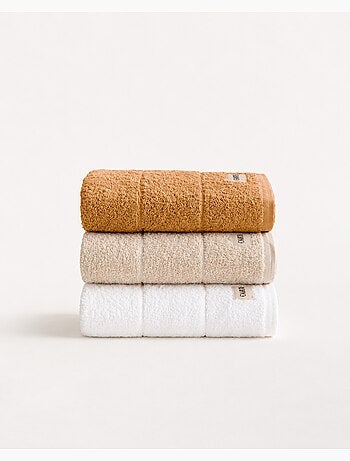 Lot de 3 torchons de cuisine 100 % coton, couleurs assorties, tissu éponge - Gamusi.