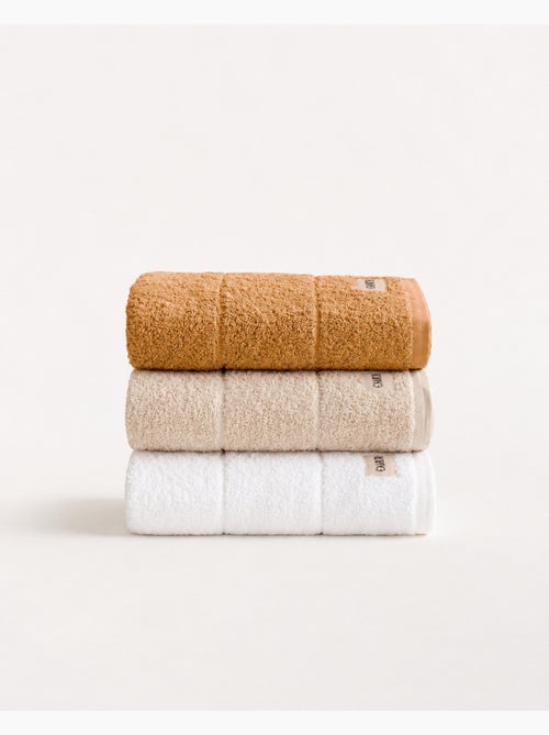 Lot de 3 torchons de cuisine 100 % coton, couleurs assorties, tissu éponge - Gamusi. - Kiabi Lot de 3 torchons de cuisine 100 % coton, couleurs assorties, tissu éponge - Gamusi. - Kiabi