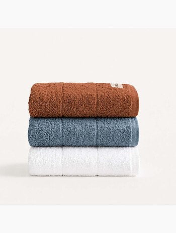 Lot de 3 torchons de cuisine 100 % coton, couleurs assorties, tissu éponge - Gamusi.