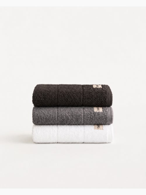 Lot de 3 torchons de cuisine 100 % coton, couleurs assorties, tissu éponge - Gamusi. - Kiabi Lot de 3 torchons de cuisine 100 % coton, couleurs assorties, tissu éponge - Gamusi. - Kiabi