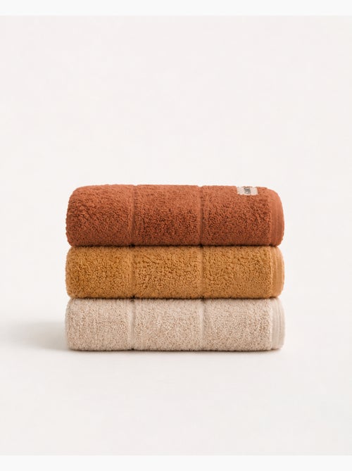 Lot de 3 torchons de cuisine 100 % coton, couleurs assorties, tissu éponge - Gamusi. - Kiabi Lot de 3 torchons de cuisine 100 % coton, couleurs assorties, tissu éponge - Gamusi. - Kiabi