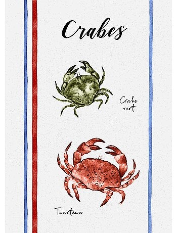 Lot de 3 torchons en coton lavé fruits de mer