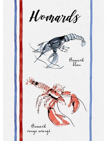 Lot de 3 torchons en coton lavé fruits de mer