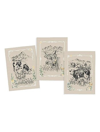 Lot de 3 torchons en coton sergé
