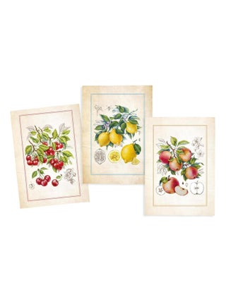 Lot de 3 torchons en coton sergé
