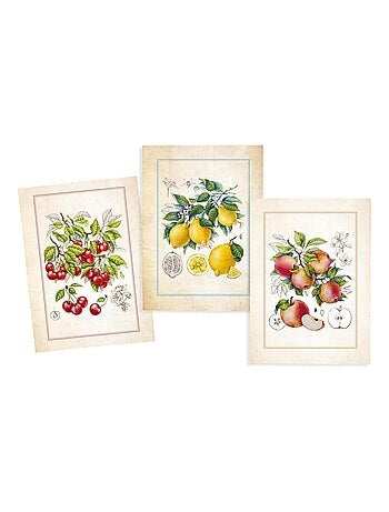 Lot de 3 Torchons Fruits