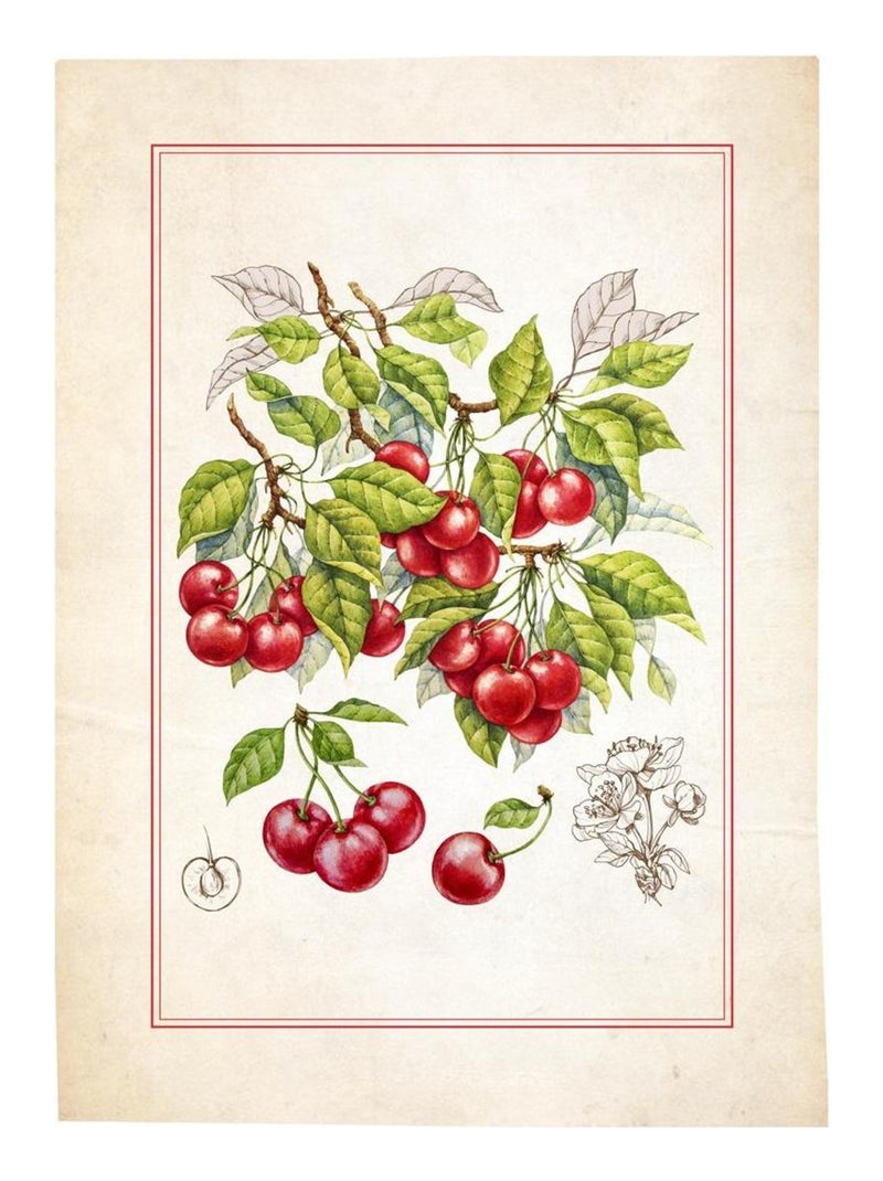 Lot de 3 Torchons Fruits Beige - Kiabi