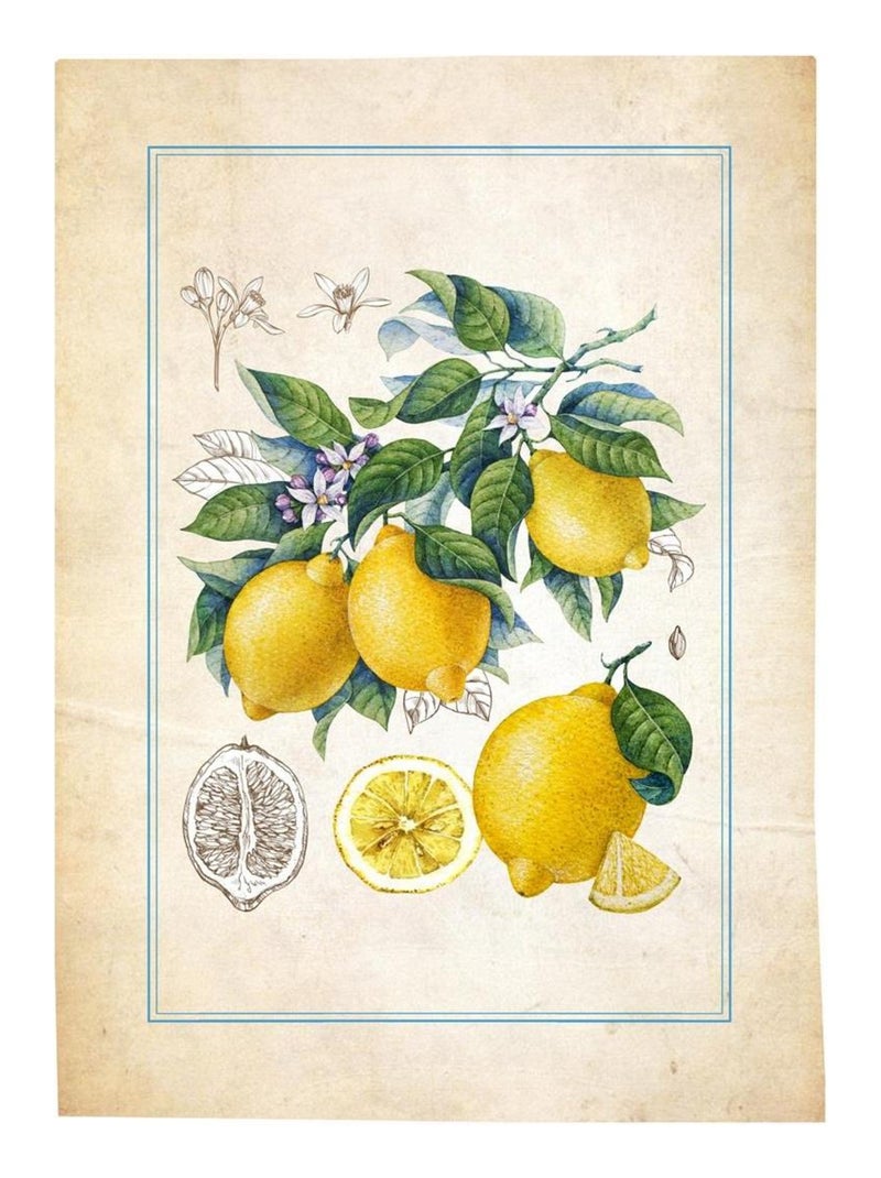 Lot de 3 Torchons Fruits Beige - Kiabi