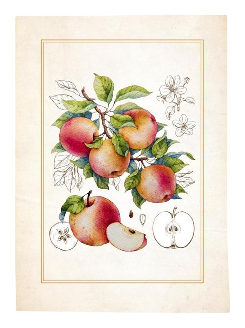 Lot de 3 Torchons Fruits - Kiabi