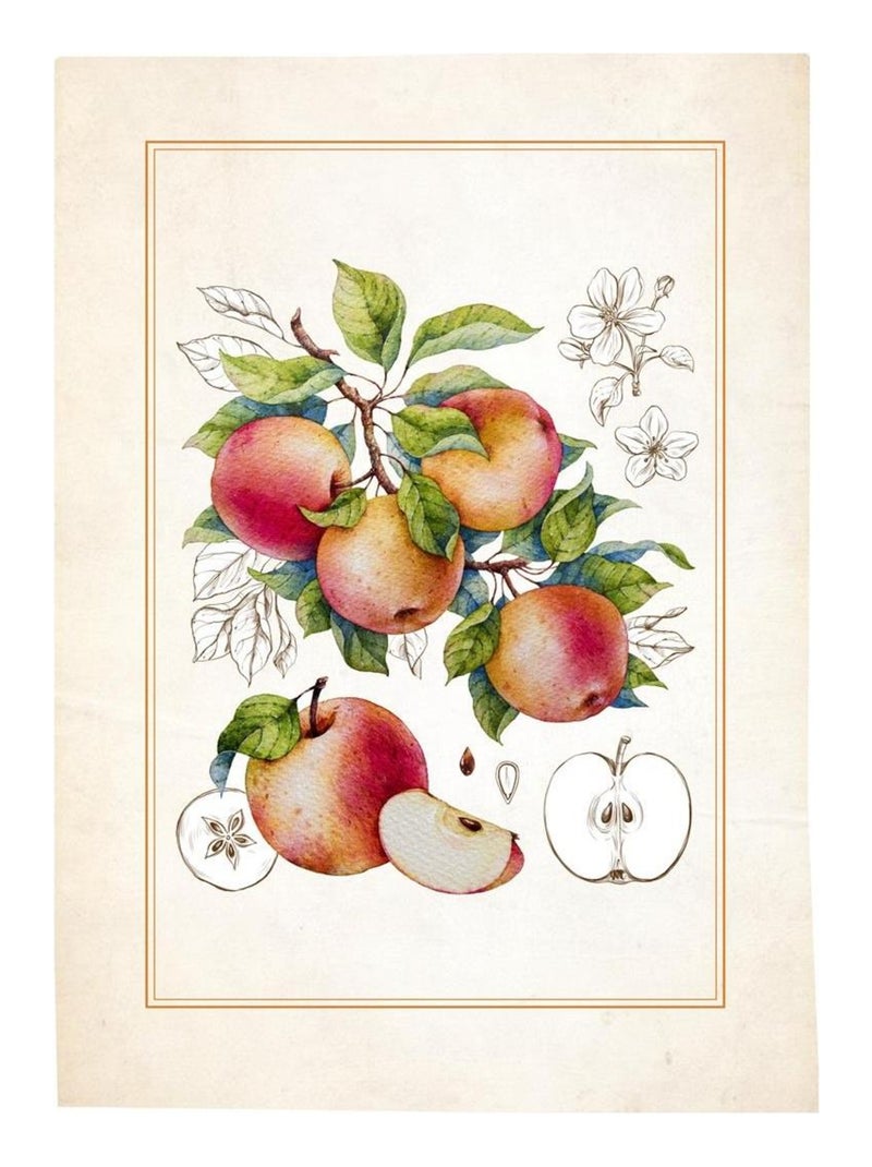 Lot de 3 Torchons Fruits Beige - Kiabi
