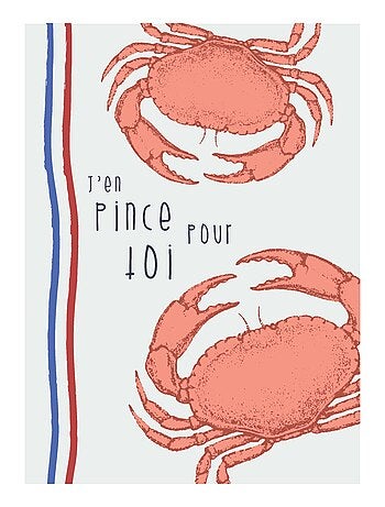 Lot de 3 torchons illustrations marines en coton lavé