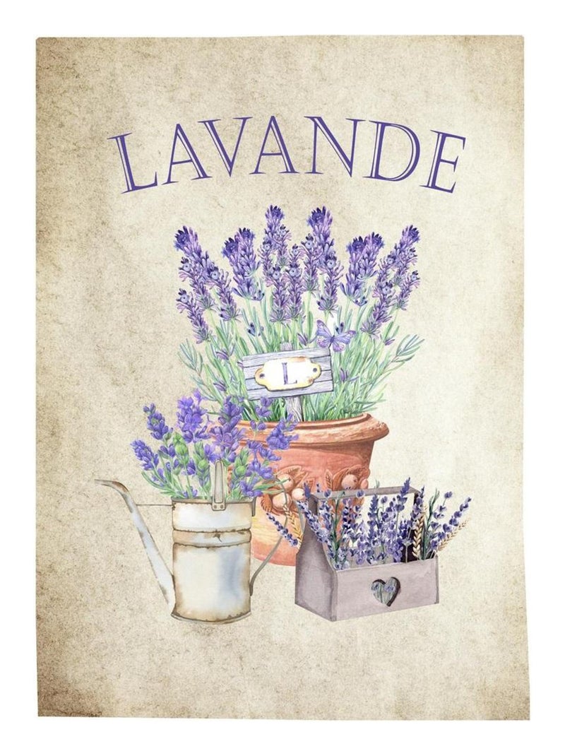 Lot de 3 Torchons Lavande provencale Beige - Kiabi