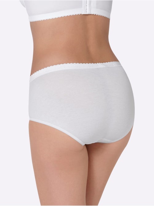 Lot de 4 - Slip Taille Haute Qualité Coton - Taille Standard - Witt - Kiabi Lot de 4 - Slip Taille Haute Qualité Coton - Taille Standard - Witt - Kiabi