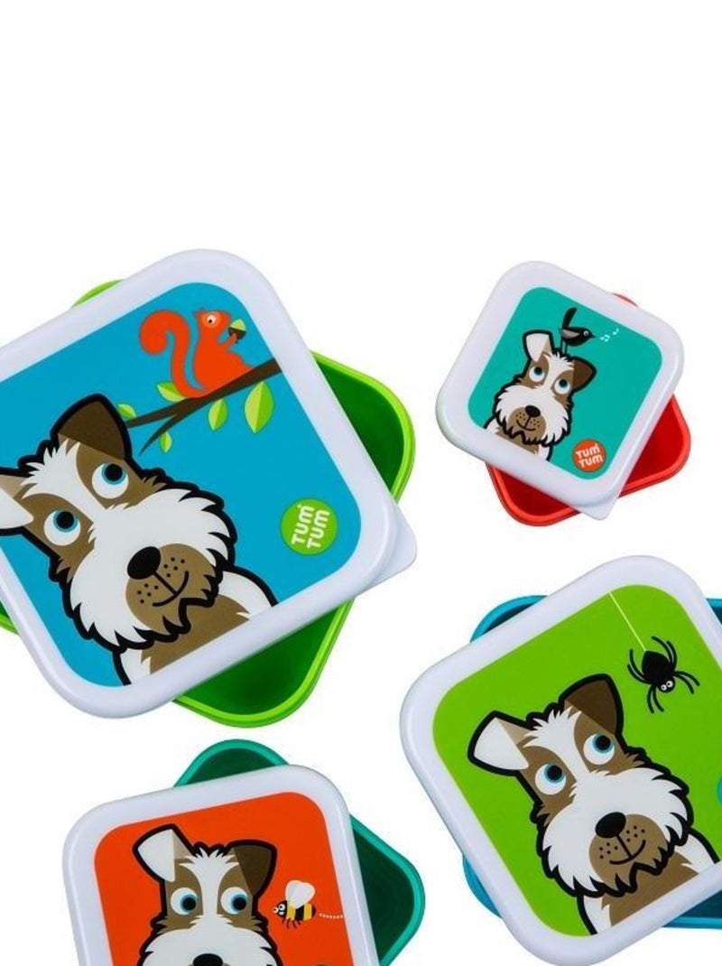 Lot de 4 Boites gigognes Scruff Multicolore - Kiabi