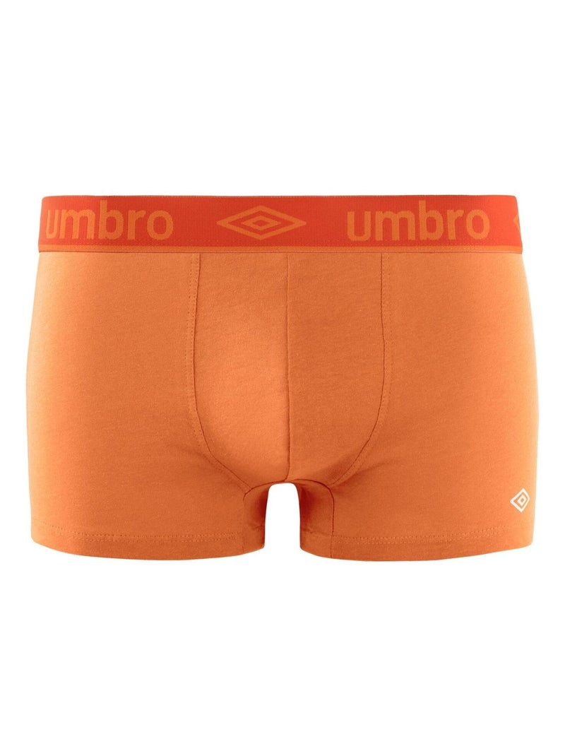 Lot de 4 boxers homme en coton Colors Umbro Violet - Kiabi
