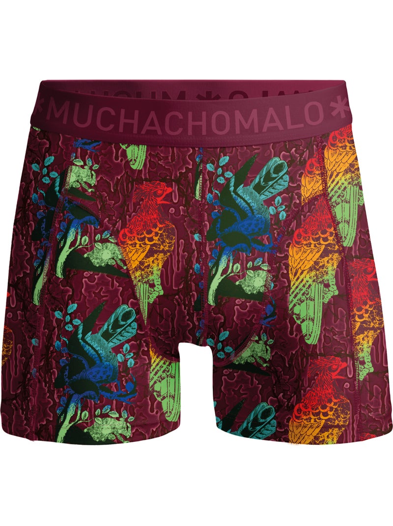Lot de 4 boxers homme Muchachomalo Bleu Rose Bleu - Kiabi