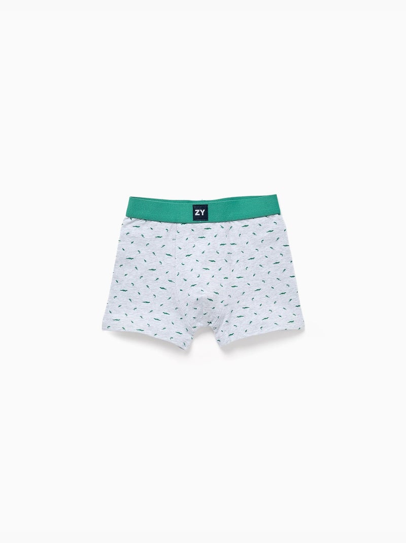 Lot de 4 boxers unis/à imprimés Gris Vert - Kiabi