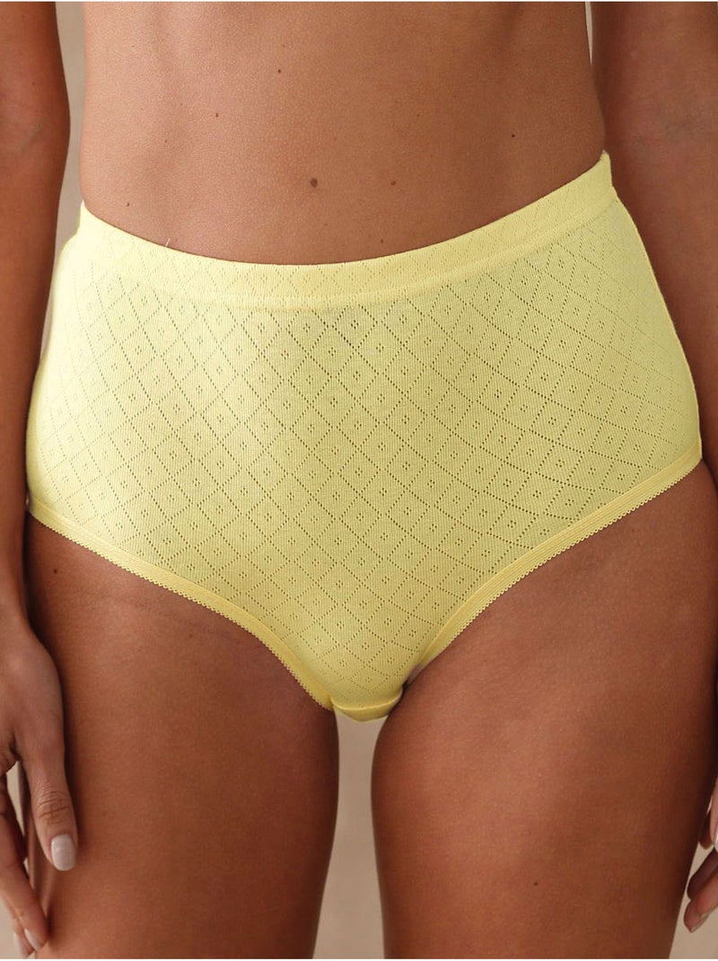 Lot de 4 culottes en maille jacquard - DAXON Vert menthe - Kiabi