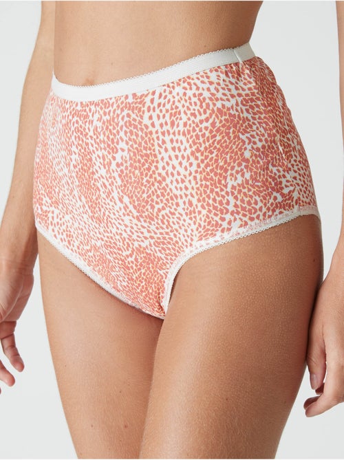 Lot de 4 culottes pur coton - DAXON - Kiabi
