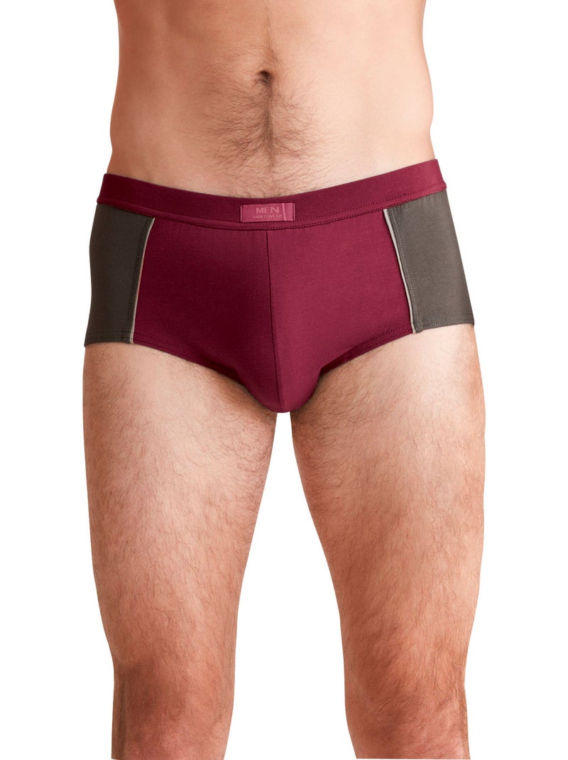 Lot de 4 slips fermés taille haut - DAXON Gris Bordeaux - Kiabi