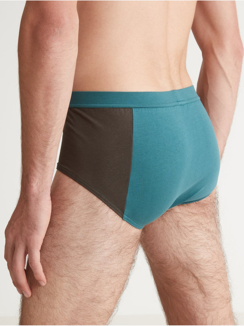 Lot de 4 slips fermés taille haut - DAXON Gris Vert - Kiabi