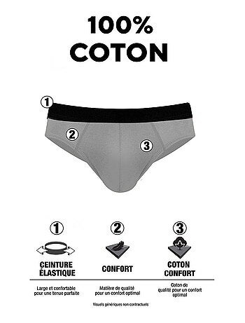 Lot de 4 Slips homme en coton Pierre Cardin