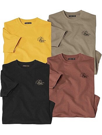 Lot de 4 tee-shirts coton unis - atlas for men
