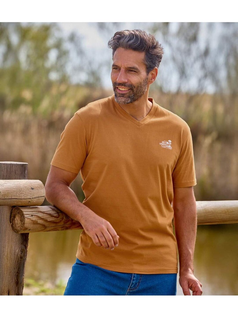 Lot de 4 Tee-Shirts Col V   - ATLAS FOR MEN Bleu Marron Blanc - Kiabi