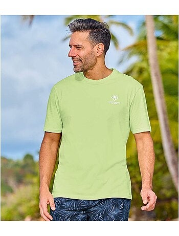 Lot de 4 tee-shirts coton unis palm - atlas for men