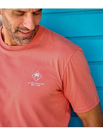 Lot de 4 tee-shirts coton unis palm - atlas for men