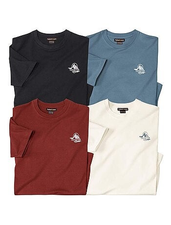 Lot de 4 Tee-shirts Expedition - ATLAS FOR MEN