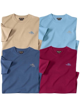 Lot de 4 Tee-Shirts Expédition - Atlas For Men