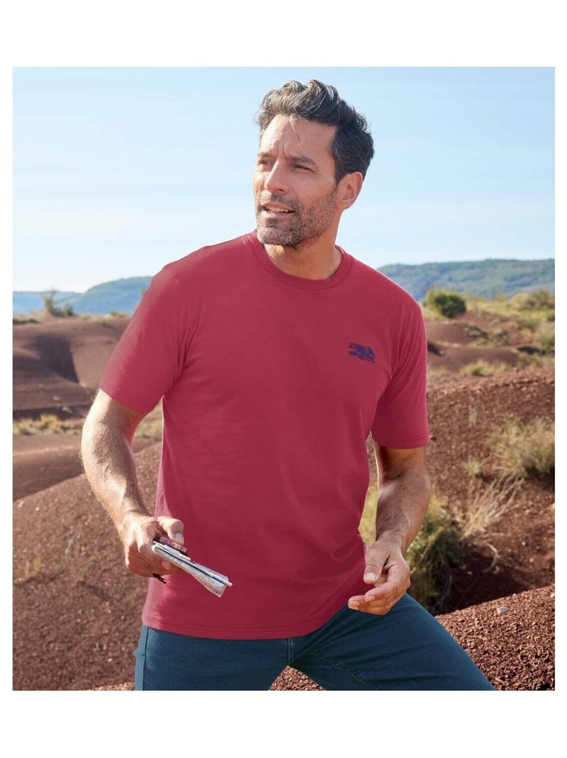 Lot de 4 Tee-shirts Travel   - ATLAS FOR MEN Jaune/Bleu Marine/Rouge - Kiabi