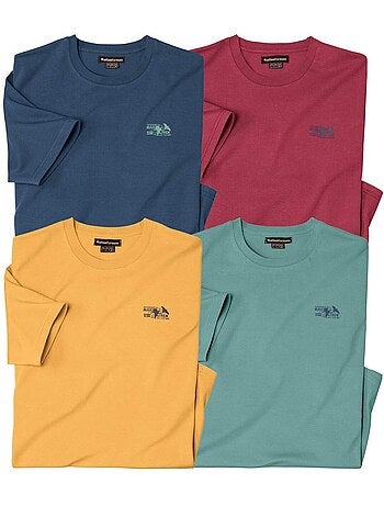 Lot de 4 tee-shirts travel - atlas for men